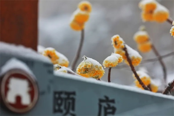640 (7).jpg 图片