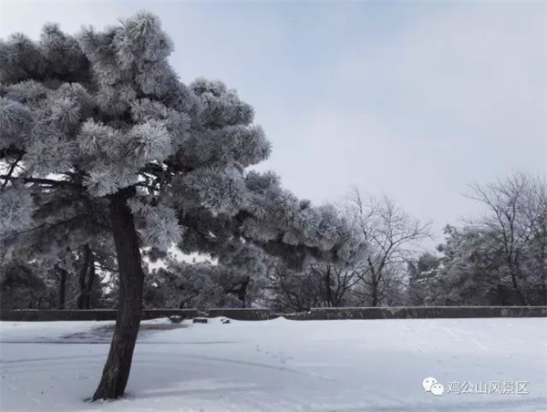 640 (11).jpg 图片