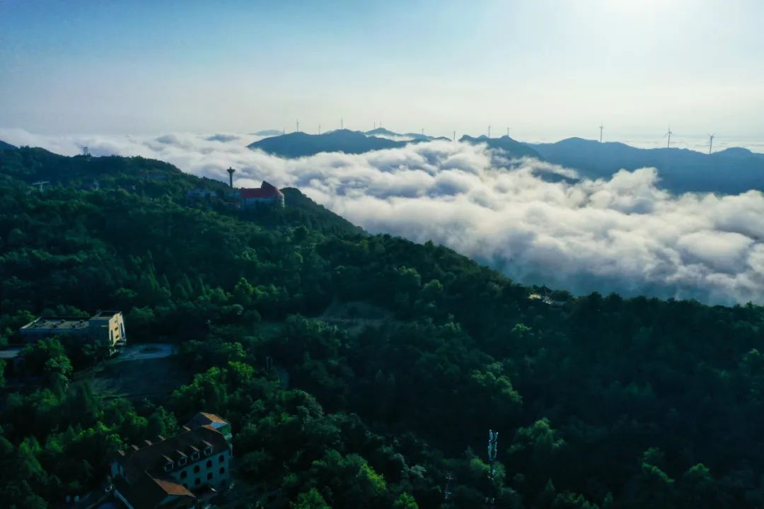 6403.jpg 图片