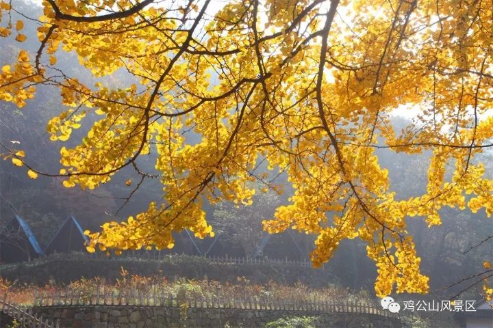 微信图片_20230909153416_1.jpg 图片
