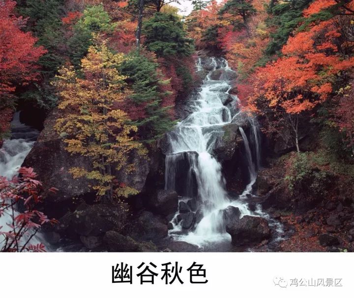 微信图片_20230909153416_4.jpg 图片