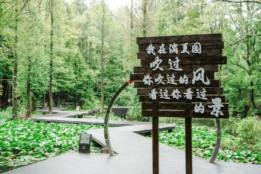 642.jpg 图片