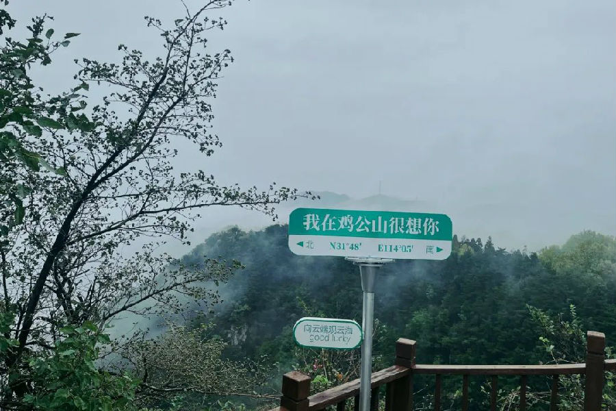 644.jpg 图片