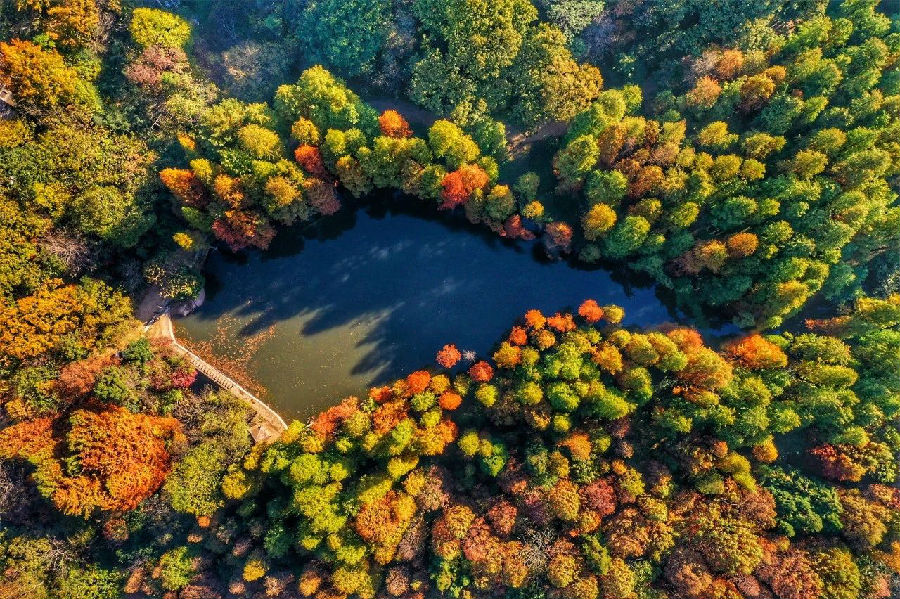 微信图片_20231011093314.jpg 图片