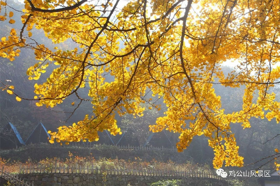微信图片_20231011093331.jpg 图片