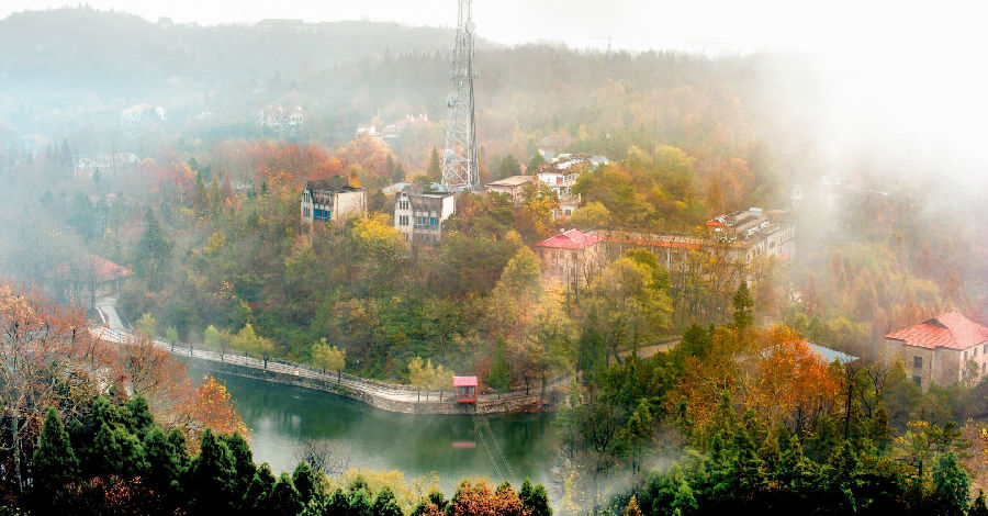 杨中银-秋天画意-13937689911-市直_看图王.jpg 图片