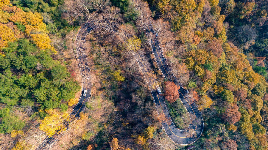 谷雨-醉美秋色鸡公山_看图王.jpg 图片