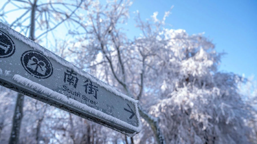 8.jpg 图片