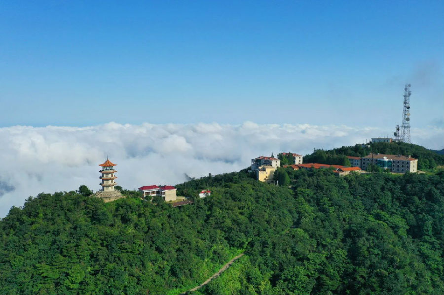 7.jpg 图片