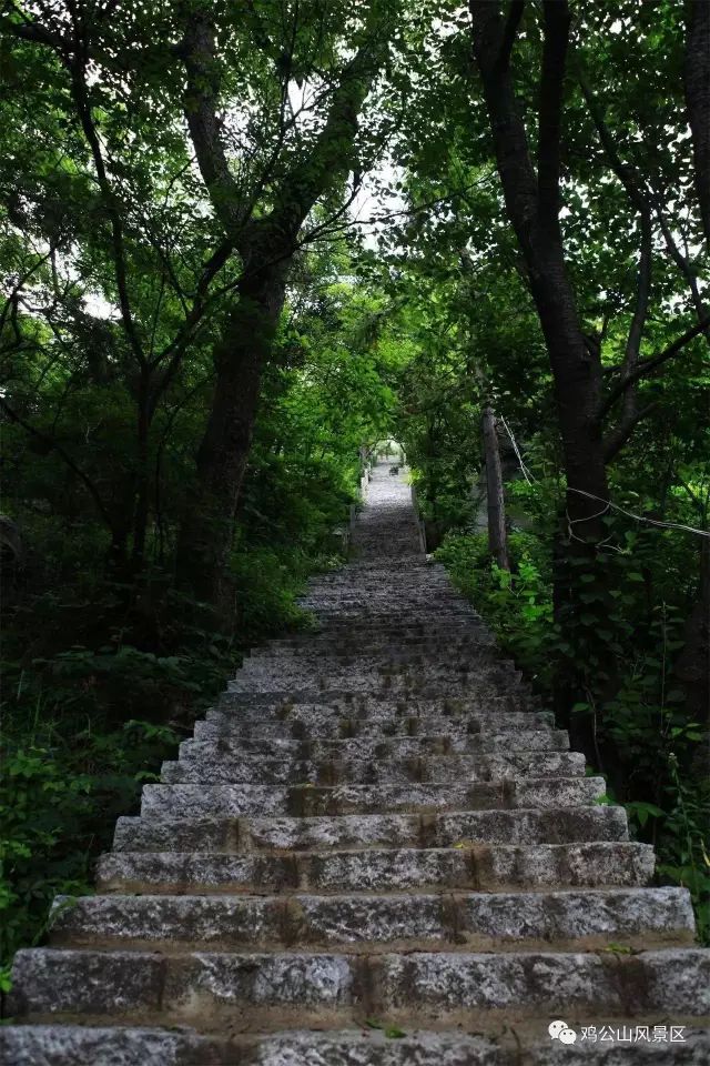4.jpg 图片