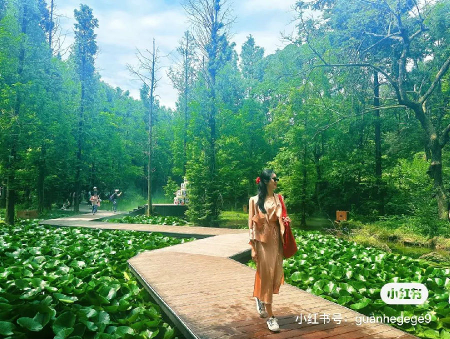 6.jpg 图片