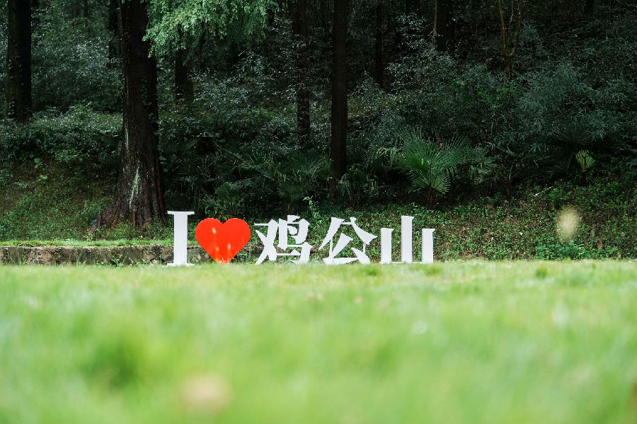 24.jpg 图片