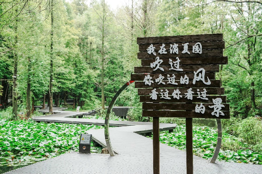 25.jpg 图片