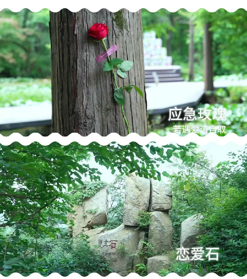 640 (1).jpg 图片