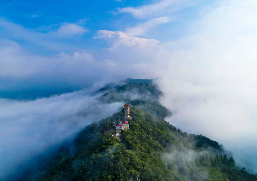 《美在鸡公山》 摄影:甘振明 电话:13838779933 南阳市 _看图王_看图王.jpg 图片