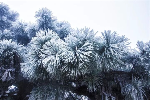 640.jpg 图片